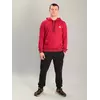 Чоловічий спортивний костюм із кофтою-кенгуру adidas бордовий, Ростовка (4 шт)