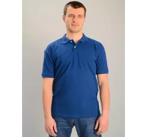 Чоловіча футболка поло синя, Ростовка (5 шт)